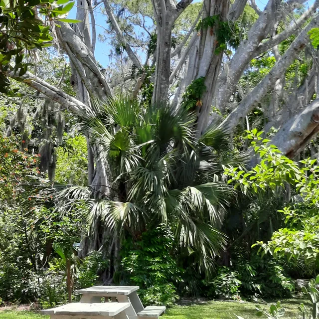 Audubon of Martin County