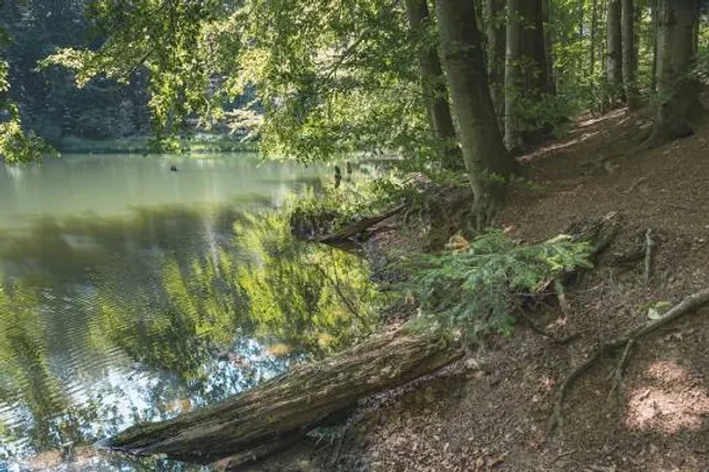 Jeziorka Duszatyńskie