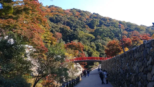 Minoh Park Insectarium