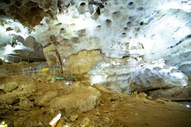 Naracoorte Lucindale Council