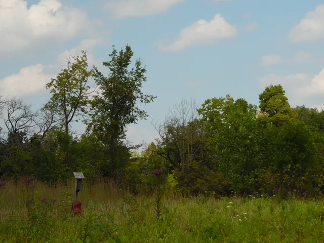Lippincott Bird Sanctuary