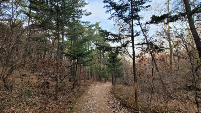 구름산 산림욕장