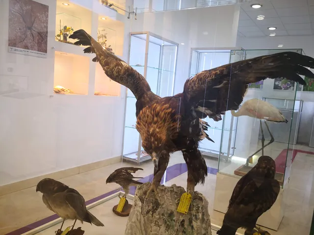 Prirodnjački muzej Crne Gore - izložbeni prostor