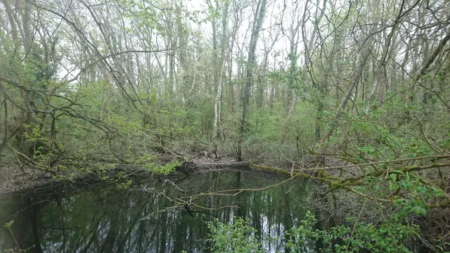 place image
