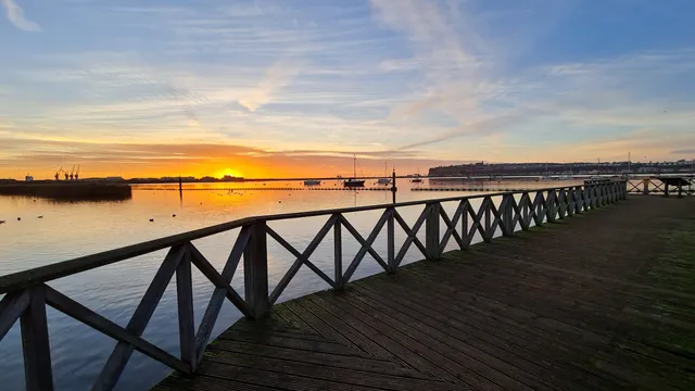 Cardiff Bay Wetlands