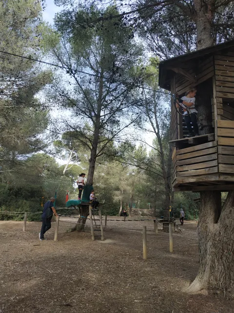 Indian Forest Figuerolles