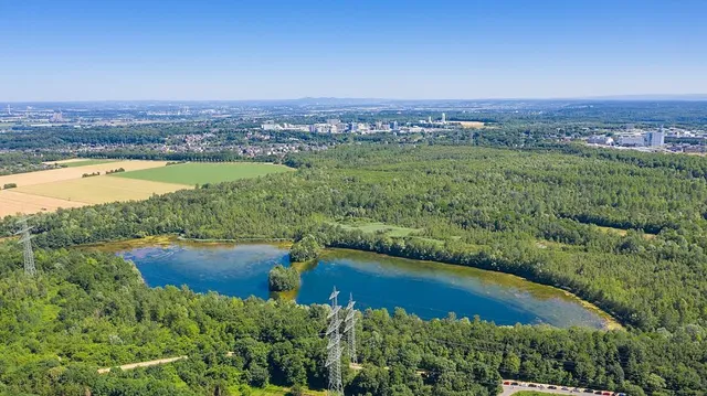 Hürther Waldsee
