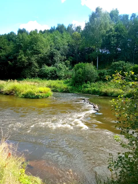 Zespół Parków Krajobrazowych Województwa Łódzkiego