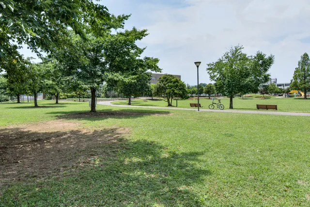 Culture & Forest Park