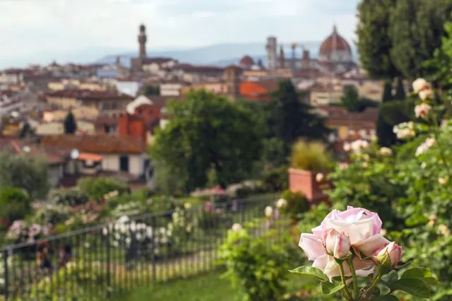 EdV a Garden with a View