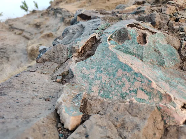 photo-3