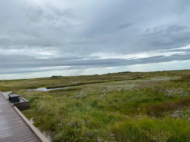LOOPDEELENWEG DÜNENKAMM RONDE PLATE