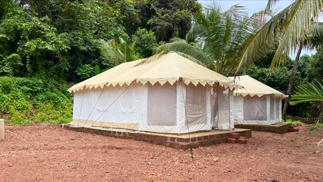 Nivti’s Hornbill Nest