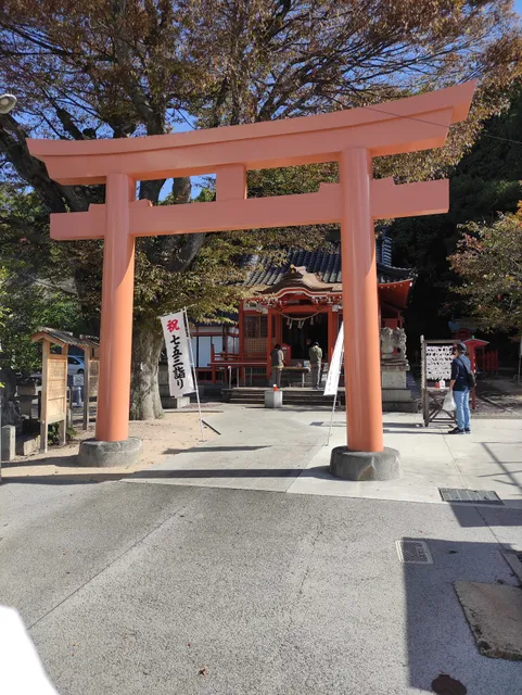 photo-1