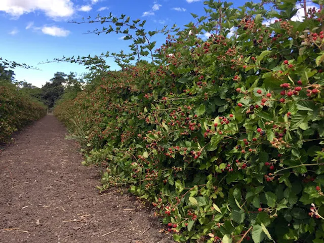 Riding at Webb Ranch