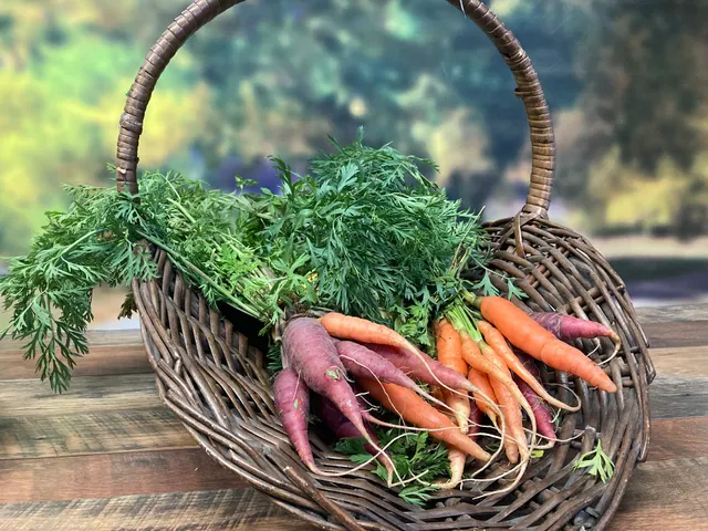 New Mexico Harvest CSA