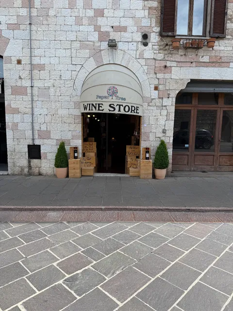 Stelvietti | Wine Store - Paper Tree - wine tasting