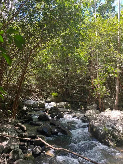 Black River Visitors Centre