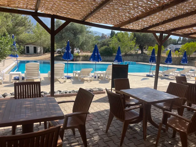 Habana Cafe Pool and Bar