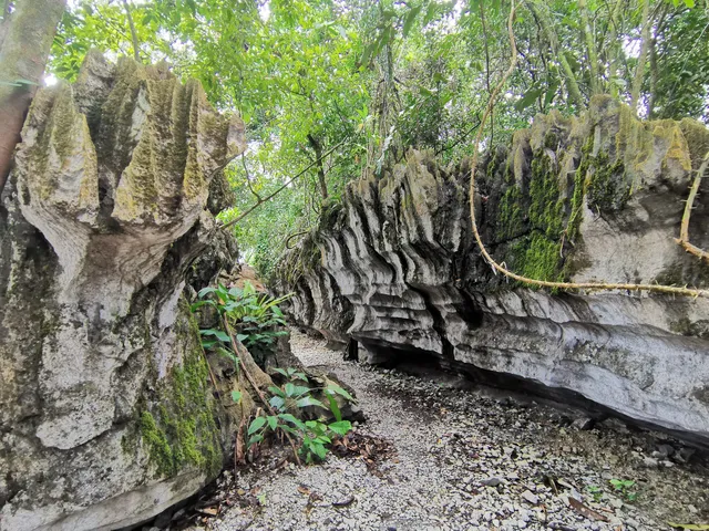 place image