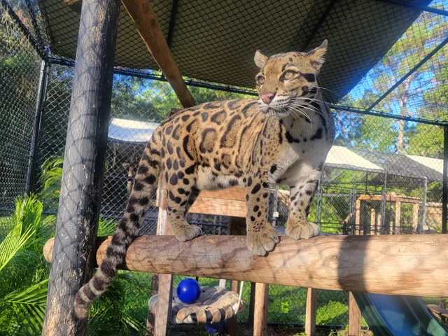 Panther Ridge Conservation Center