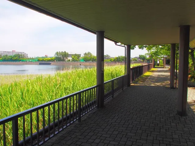 Yatsu-Higata mudflat