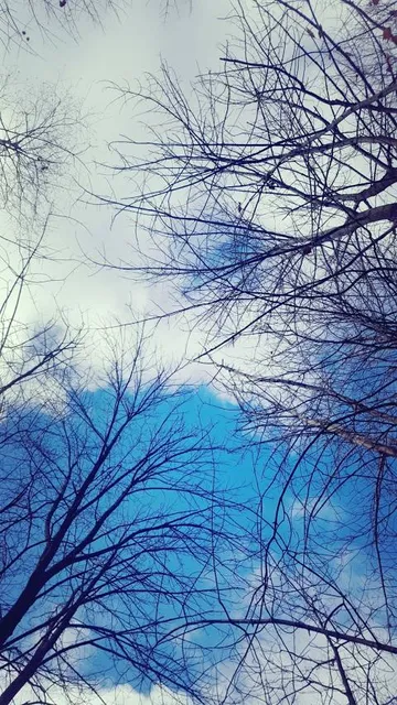 photo-2