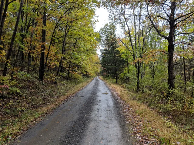 Stewart State Forest