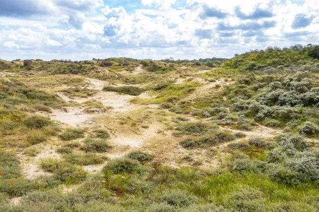 Nationaal Park Hollandse Duinen