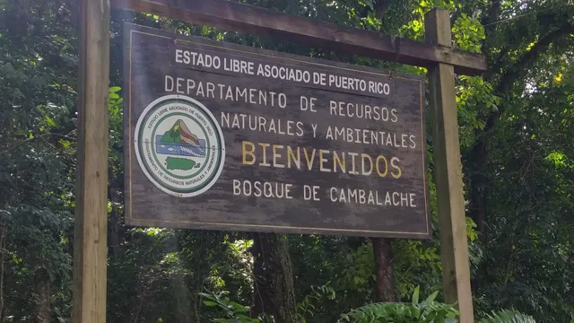 Bosque Estatal de Cambalache