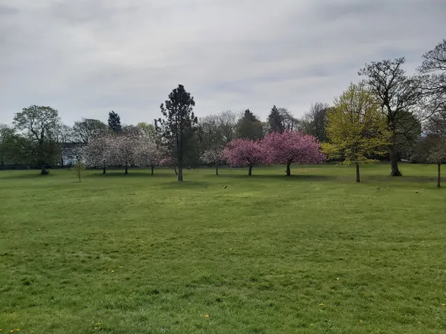 Carr Lodge Park Horbury