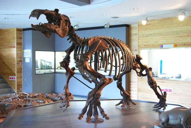 Ogano Fossil Museum