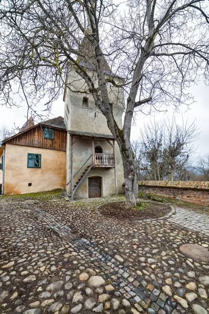 Ann Lee Pond Nature and Historic Preserve