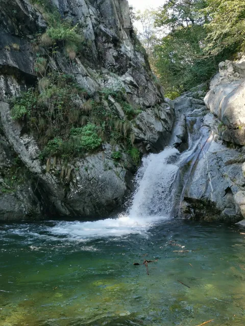 Fondazione Maglio del Malcantone
