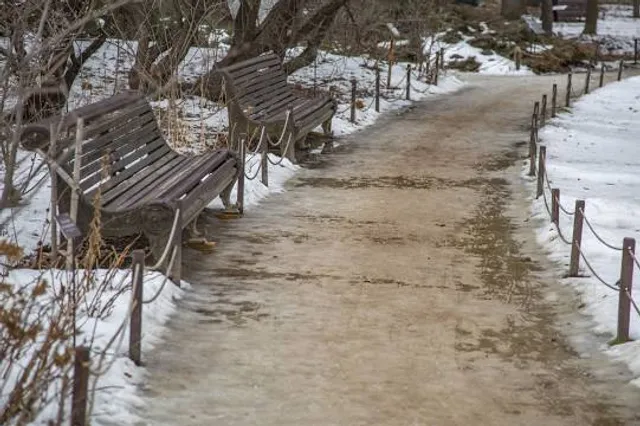 Incheon Butterfly Park