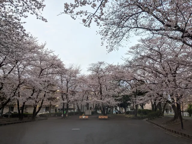 Nakayamaekikita Daiichi Park