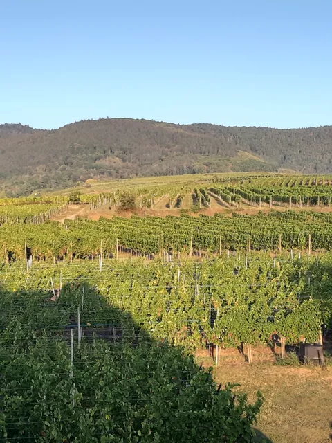 Chambres d'hôtes des Trois Pierres