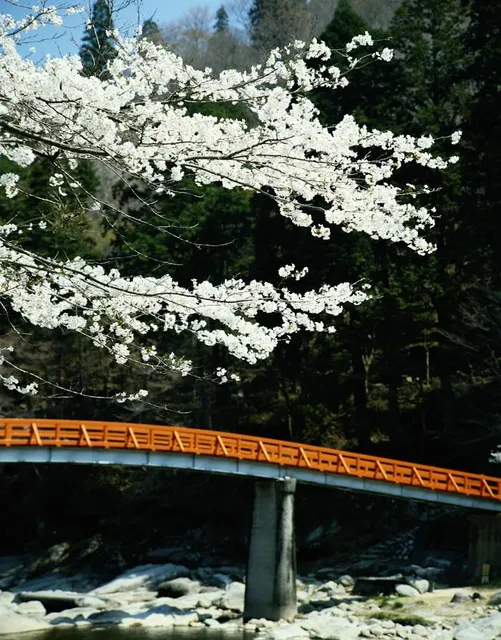 Taigetsu Bridge