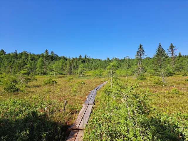 Philbrick-Cricenti Bog