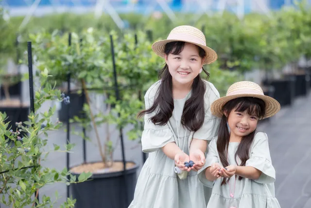 アイサイブルーベリーミライファーム