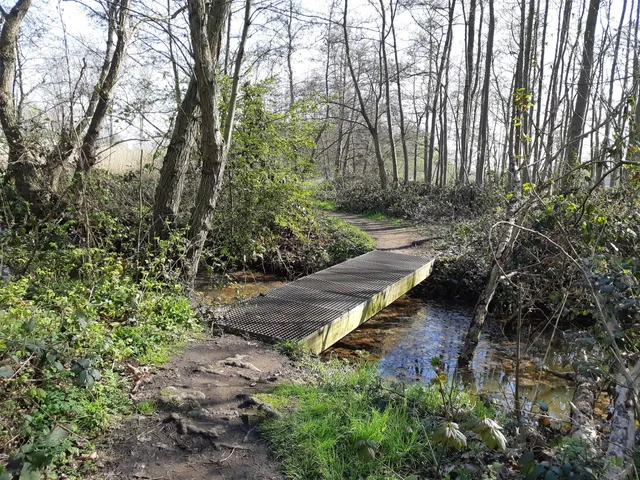 Natuurgebied Niels Broek - kant Schelle