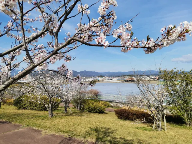 Sakurazutsumi Park