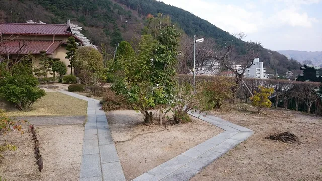 photo-3