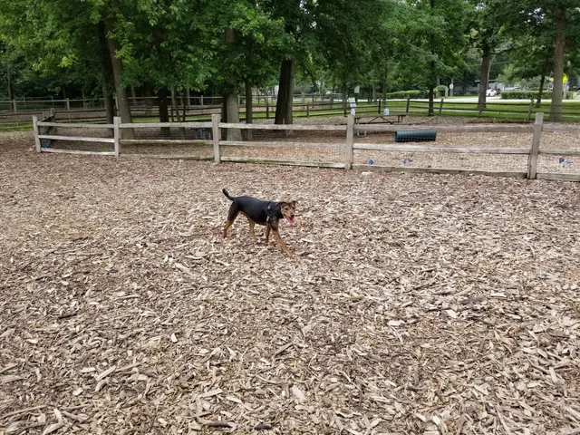 The Woodlands at White Oaks Park