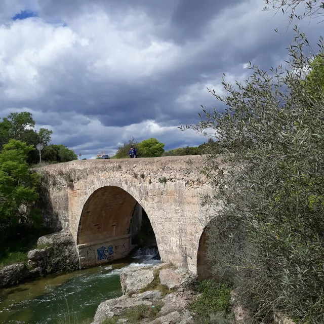 Puente del Olivar
