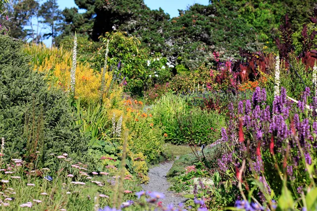Mendocino Coast Botanical Gardens