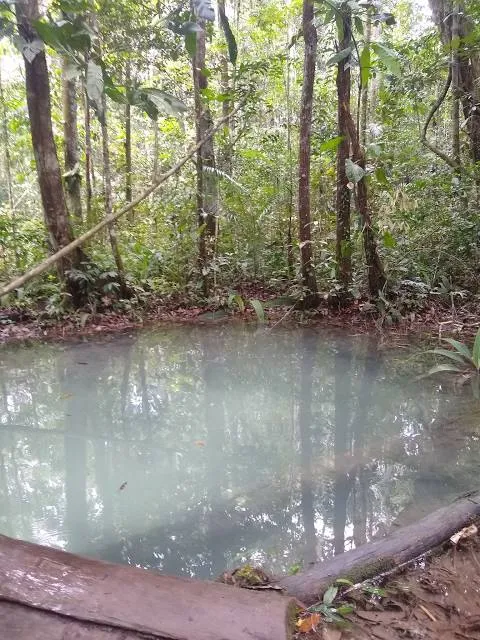photo-3