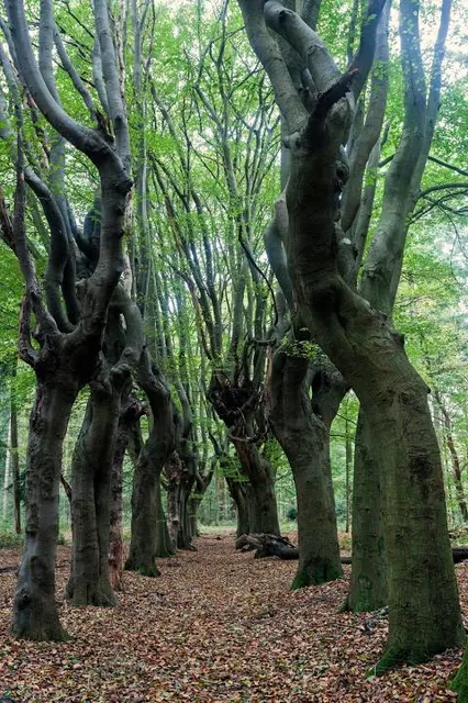 Cotswold Sculpture Park