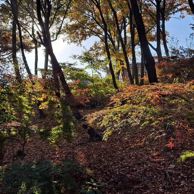 오동근린공원(강북)