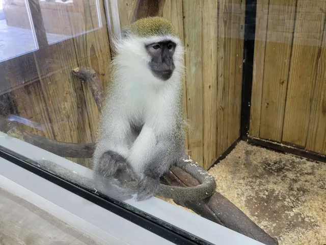 Little Ponderosa Zoo and Rescue